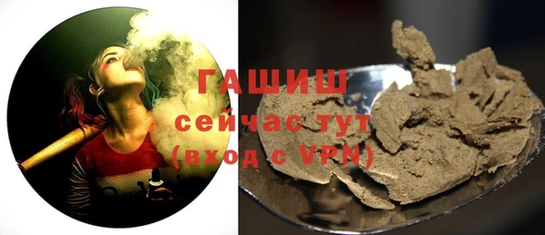 хмурый Шали