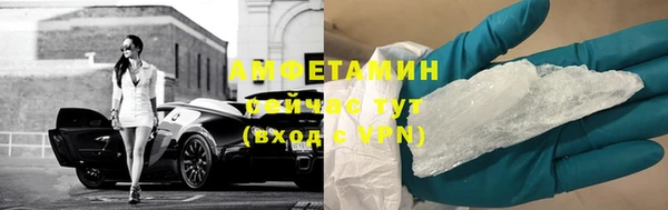хмурый Шали