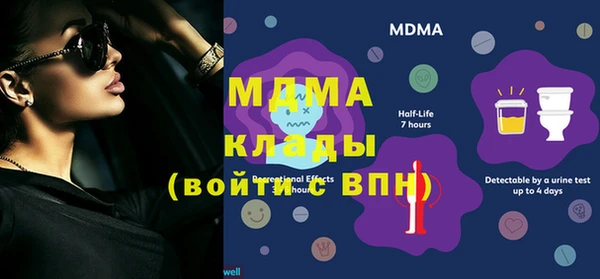 хмурый Шали