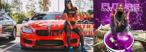хмурый Шали