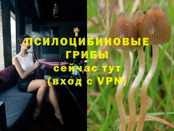 СК Чердынь