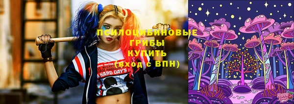 мдпв Чекалин