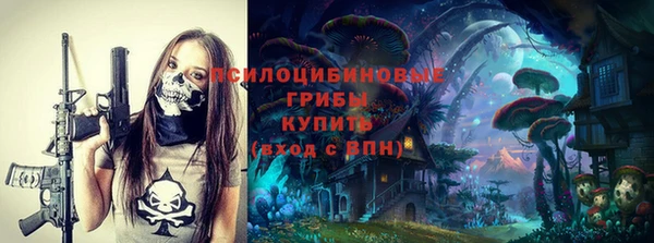 не бодяженный Чегем