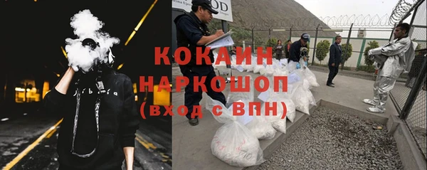 хмурый Шали