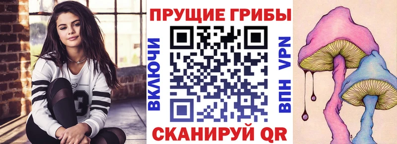 mega рабочий сайт  площадка наркотические препараты  Галлюциногенные грибы Cubensis  купить  цена  Химки 