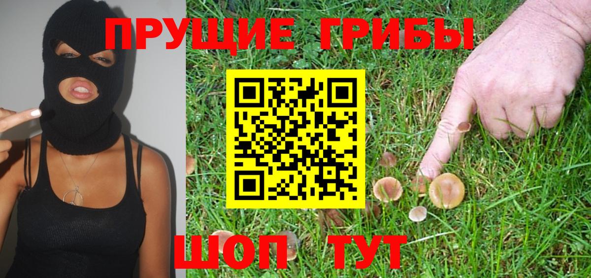Химки  что такое наркотик  Вход с VPN  Галлюциногенные грибы Psilocybe 