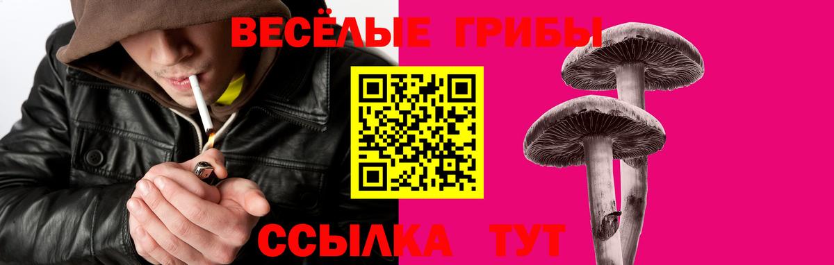 Галлюциногенные грибы Magic Shrooms Химки